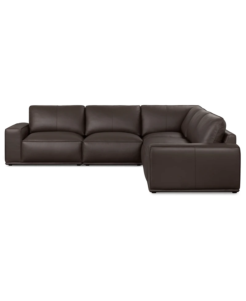 Paitlyn 5-Piece Leather L-Shape Sectional