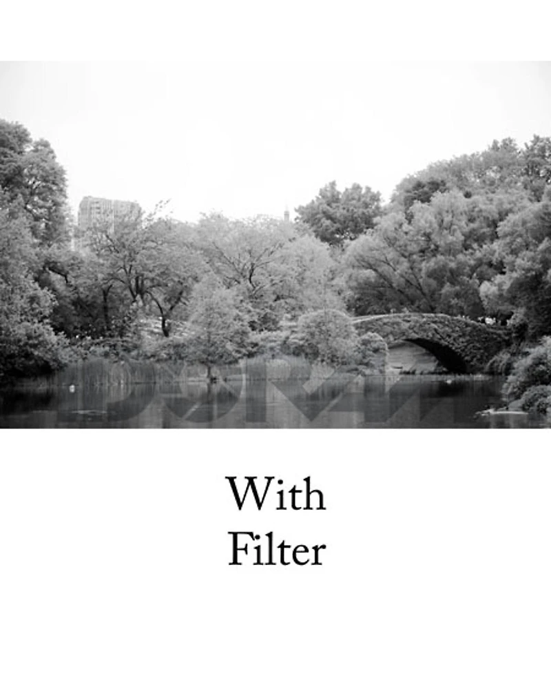 Tiffen 77mm Glass Filter