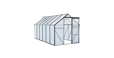 Flynama 72x144 Inch Polycarbonate Walk-In Greenhouse with Aluminum Frame and Uv Protection