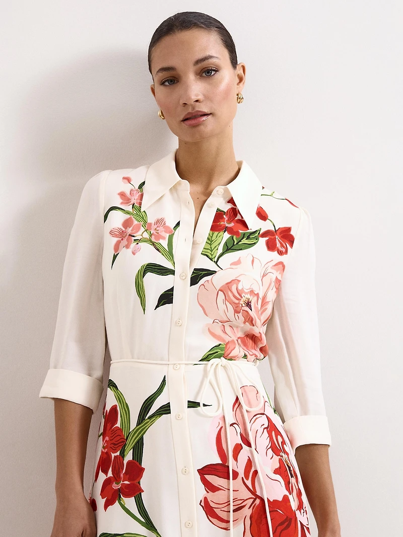 Phase Eight Women's Anabella Shirt Dress