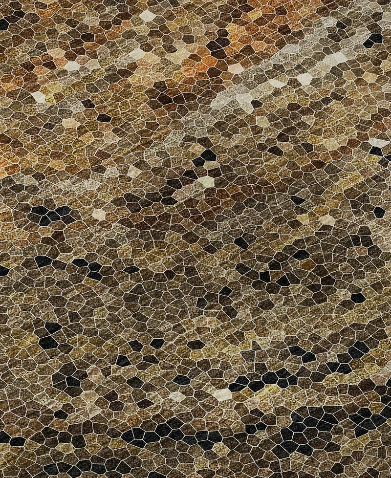 Dalyn Lumara LM3 8'x10' Area Rug