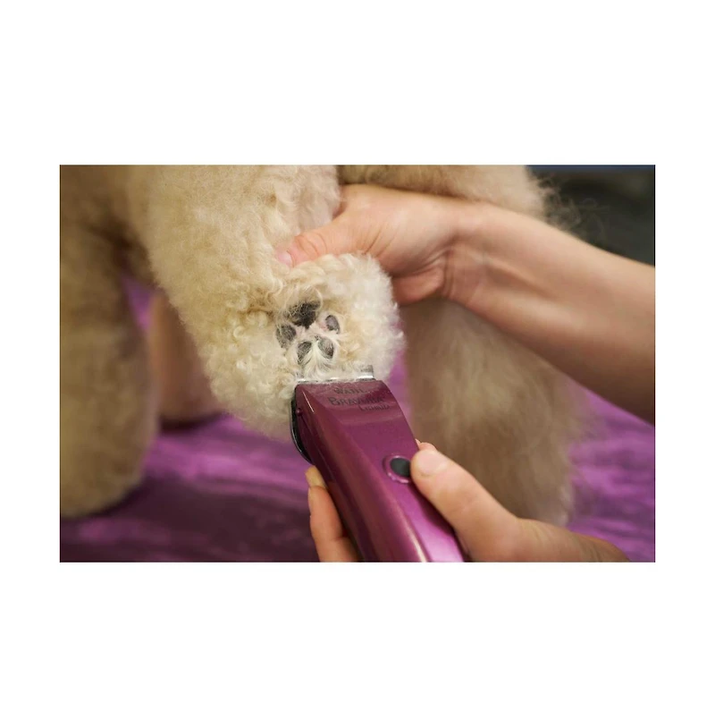 Wahl Professional Animal Bravura Lithium Ion Clipper
