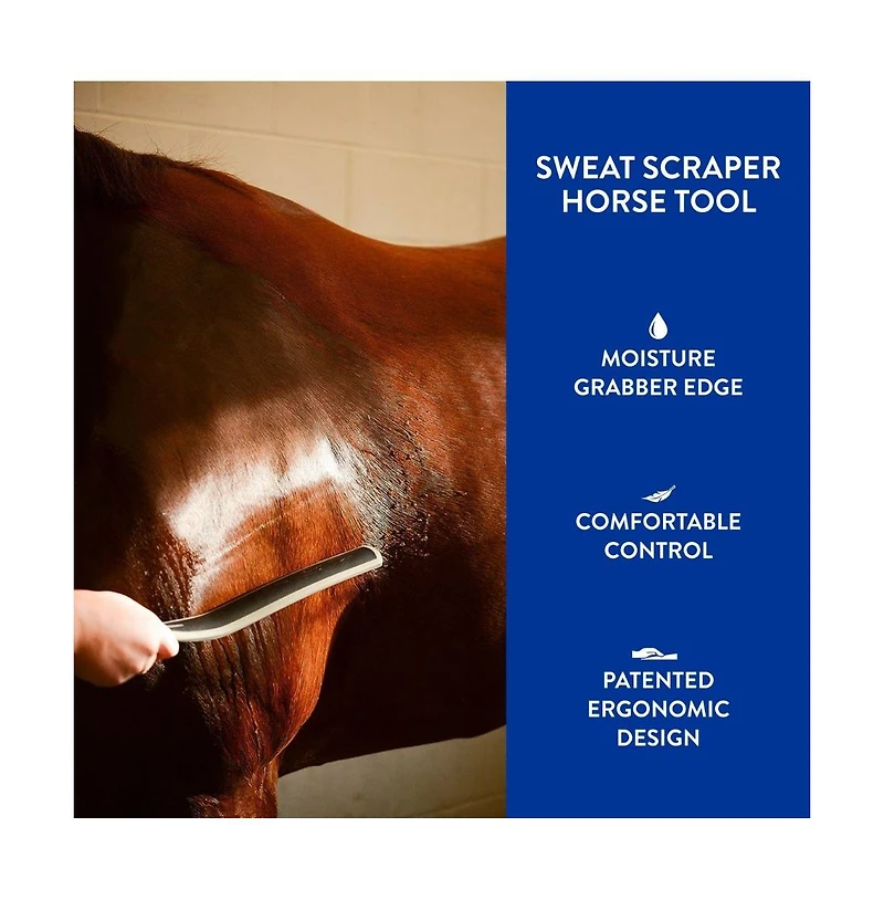 Wahl Professional Animal Equine Grooming Sweat Scraper Horse Tool