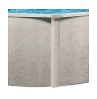 Aquarian Phoenix 21 Ft x 52 In Above Ground Pool w/ Pump, Ladder, & Accessories