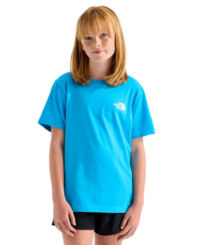 The North Face Girls' 7-16 Teen Evolution Box Short-Sleeve T-Shirt