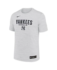 Nike Men's White New York Yankees Authentic Collection Velocity Dri-fit T-Shirt