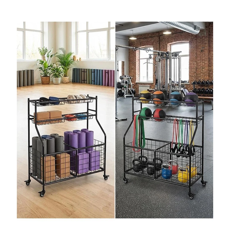 Gaomon Heavy Duty Sports Ball Storage Cart, Rolling Multi Sport Equipment Organizer for Garage Gym Playroom