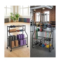Gaomon Heavy Duty Sports Ball Storage Cart, Rolling Multi Sport Equipment Organizer for Garage Gym Playroom