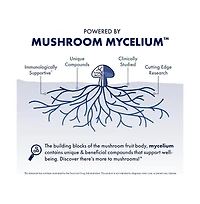 Host Defense MycoBotanicals Immune Powder - Immune System Powder - Immune & Gut Health Support Supplement