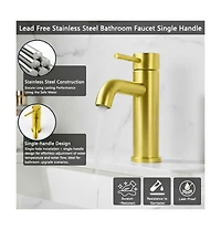 Phying Single Handle Bathroom Faucet Lavatory Faucet Stainless Steel Single Hole-T10