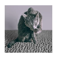 CatGuru Cat Litter Mat