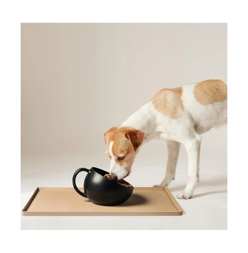 DogBuddy Dog Food and Water Bowl