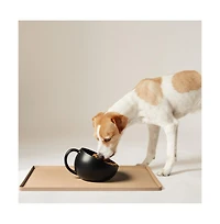 DogBuddy Dog Food and Water Bowl