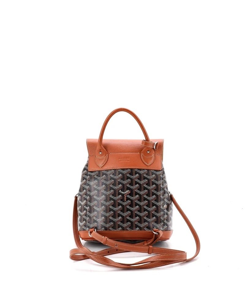 Pre-Owned Goyard Mini Alpin Backpack Coated Canvas