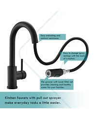 Phying Pull Down Sprayer Sink Faucet Black Modern Multifunctional Faucet Design for Kitchen Bathroom Mini Bar Prep Counter