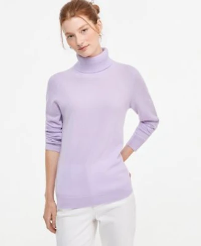 Charter Club Womens 100 Cashmere Turtleneck Sweater Pxs Xxl Macys Exclusive