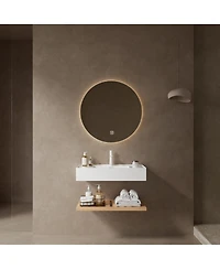 Sillysis Floating Bathroom Vanity with Acrylic Integrated Sink, Wall Mounted Shelf