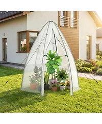 Gouun Portable Walk-In Mini Greenhouse with All-Weather Pe Cover