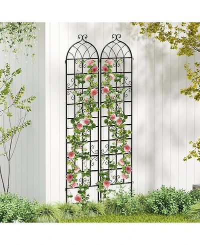 Gouun 2-Pack 86-Inch Metal Garden Trellis for Climbing Plants