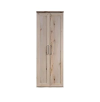 Starlight Canyon Home Brown Storage Cabinet With Sleek Rectangle Shape For Organization