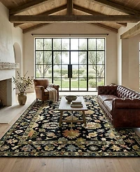 Amer Rugs Jackson JAC2 8'x10' Area Rug