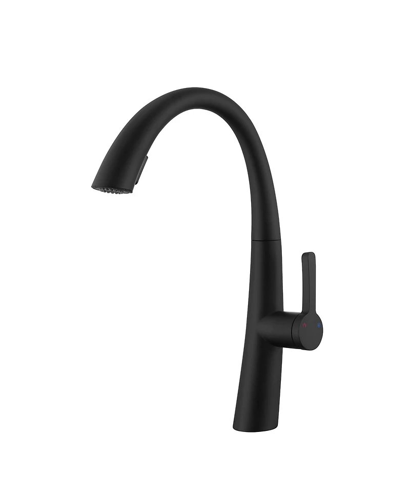 Phying Stainless Steel Pull Out Kitchen Faucet