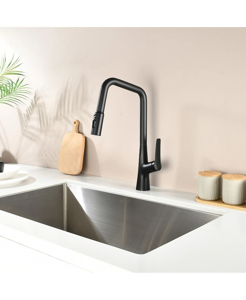 Phying Professional Kitchen Faucet 3 Function 360 Sprayer One Touch Switching FastConnect