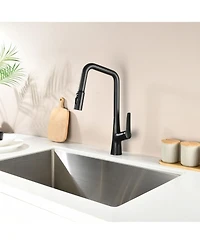 Phying Professional Kitchen Faucet 3 Function 360 Sprayer One Touch Switching FastConnect