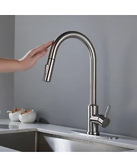 Phying Touch Kitchen Faucet with Pull Down Sprayer