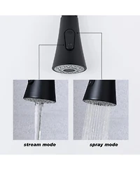 Phying Kitchen Faucet with Pull Out Spraye