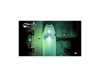 U and I Entertainment Hollow Knight