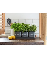 Burgon & Ball 3 Herb Pots with Leather Handled Tray