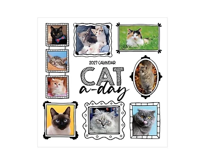 Tf Publishing Paper Goods 2027 Cat-a-Day Wall Calendar