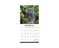 Tf Publishing Paper Goods 2027 Owls Wall Calendar