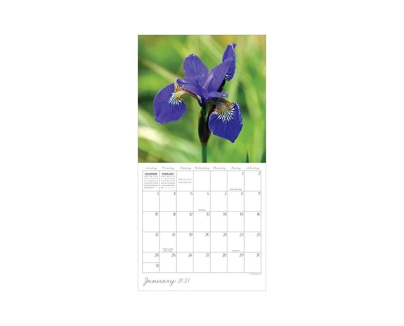 Tf Publishing Paper Goods 2027 Flowers Mini Calendar