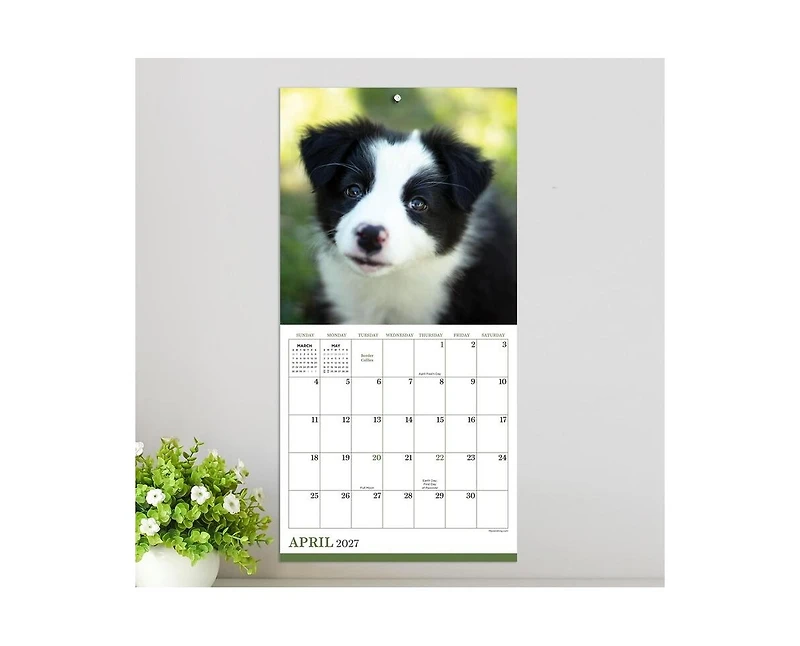 Tf Publishing Paper Goods 2027 Puppies Mini Calendar