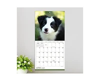 Tf Publishing Paper Goods 2027 Puppies Mini Calendar