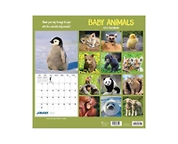 Tf Publishing Paper Goods 2027 Baby Animals Wall Calendar