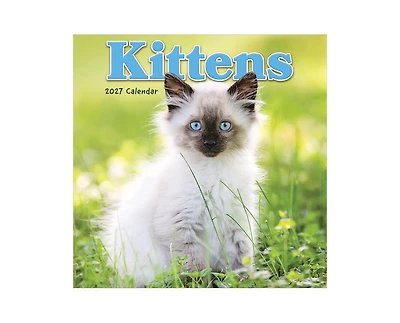 Tf Publishing Paper Goods 2027 Kittens Mini Calendar