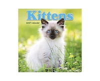 Tf Publishing Paper Goods 2027 Kittens Mini Calendar