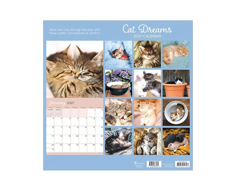 Tf Publishing Paper Goods 2027 Cat Dreams Wall Calendar