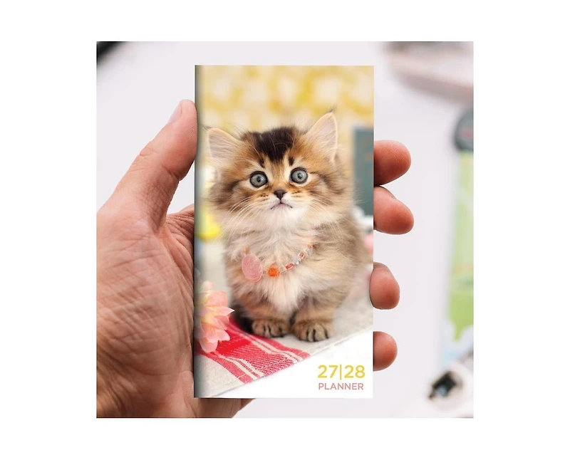 Tf Publishing Paper Goods 2027-2028 Kitten Small Monthly Pocket Planner