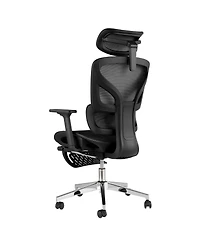 homfan Ergonomic High Back Mesh Office Chair