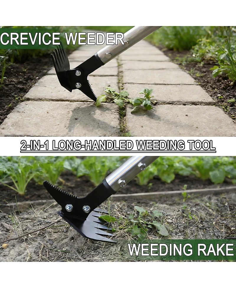 Xdovet Weed Puller Long Handle 2-in-1 Rake Crack Weeder Detachable Head Stainless Steel Garden Tool