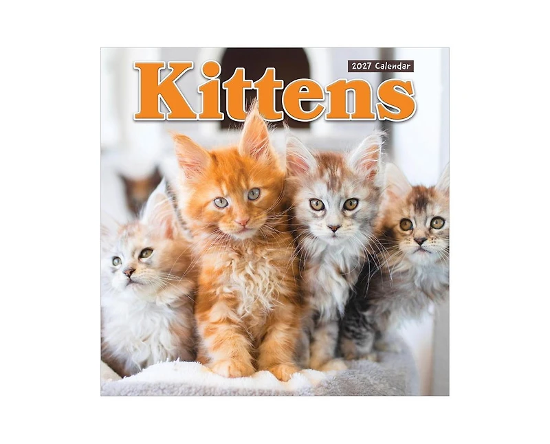 Tf Publishing Paper Goods 2027 Kittens Wall Calendar