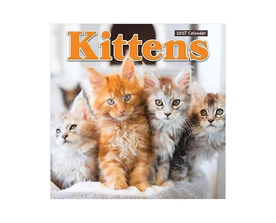 Tf Publishing Paper Goods 2027 Kittens Wall Calendar