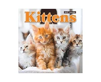 Tf Publishing Paper Goods 2027 Kittens Wall Calendar