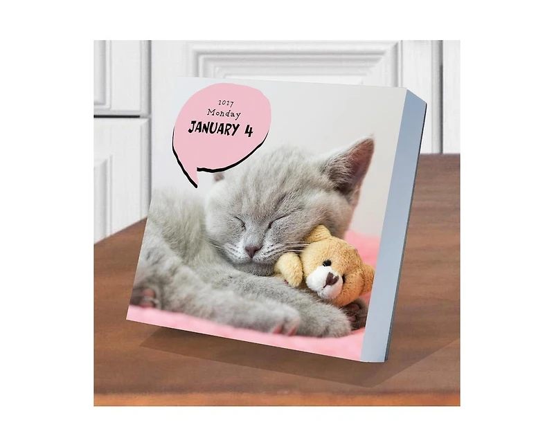 Tf Publishing Paper Goods 2027 Cat A Day Daily Desktop Calendar