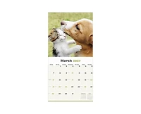 Tf Publishing Paper Goods 2027 Furry Friends Wall Calendar