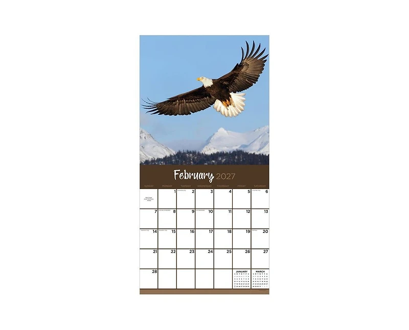 Tf Publishing Paper Goods 2027 Wild Wall Calendar
